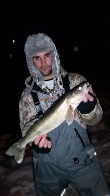 donny1919's profile picture. 