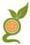 Get your favorite fruits & vegetables delivered @ your doorsteps on same day
Be pampered, get door delivery.
As easy as ordering pizza, just a lot more health