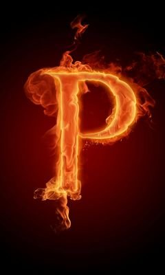 pietpotvis's profile picture. 