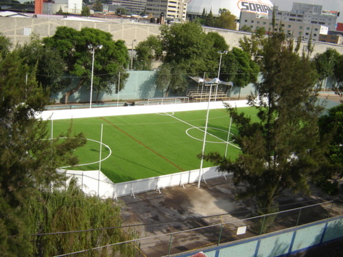 Distribuidor Nacional De Pasto Sintetico, deporte, futbol 7, canchas deportivas, futbol soccer, pasto artificial