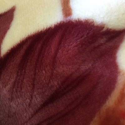 77abduh769's profile picture. 