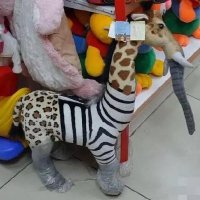 李佳祥 (@pt5yo) 's Twitter Profile