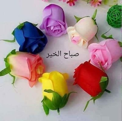 elagamy_mohmed's profile picture. 