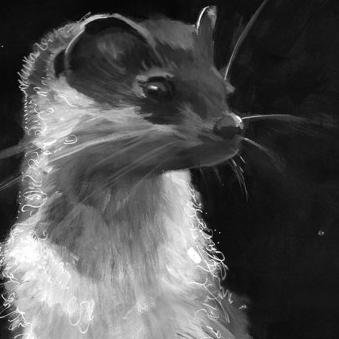 SoundCheer's profile picture. Cinéma. Musique. Égalitarisme. - Si tu ne le penses pas, ne le dis pas.