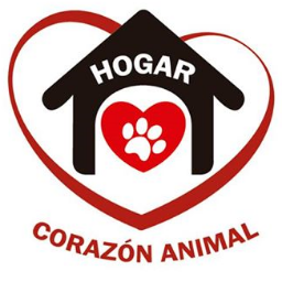 Para donaciones 
Banco de la Nacion Argentina
Titular: Asociacion Hogar Corazon Animal.
Cta cte Num. 6381337287
CBU 01106387-40063813372876
CUIT 30-71488932-6