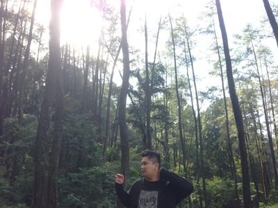 usahakeras_29's profile picture. 