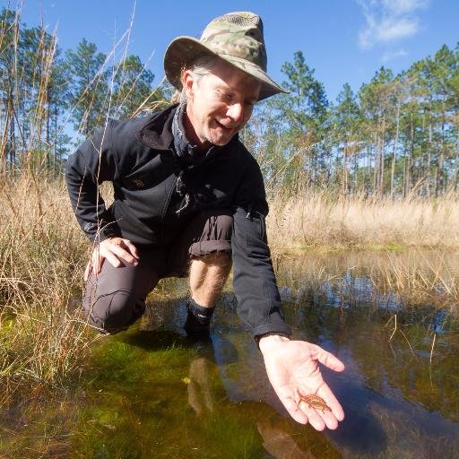 This is Ryan Means, Striped Newt Repatriation Project Leader. I'll keep you informed about this groundbreaking salamander conservation effort in north Florida.