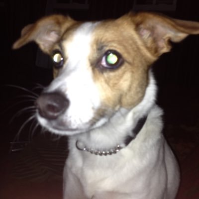 SHANE_NICEE's profile picture. 