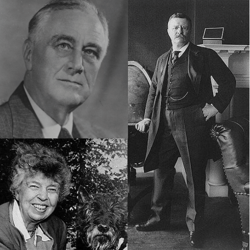 The3Roosevelts's profile picture. 