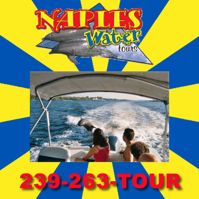 NaplesWaterTour's profile picture. 
