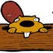 allsaintsbeaver's profile picture. 