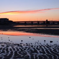 David (@raynor_schein34) 's Twitter Profile