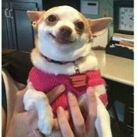 WendyGarett's profile picture. nothing to say...