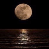 suitanzakary's profile picture. 