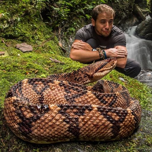 https://t.co/G3UZspUJFS / @CondorFundacion / #Science / #photography #Conservation / #anfibios y #reptiles 🐍🐸 / salgo en Planet Earth III y mola