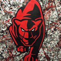 Petal Strength and Conditioning (@ironpanthers_16) 's Twitter Profile