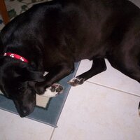 Kim Usa (@kimberlyusa) 's Twitter Profile