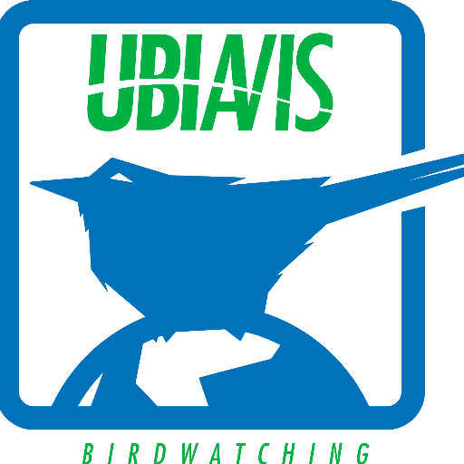 With Ubiavis you can watch birds online, you can control the camera, from anywhere in the world.. https://t.co/6pOPySlz5p