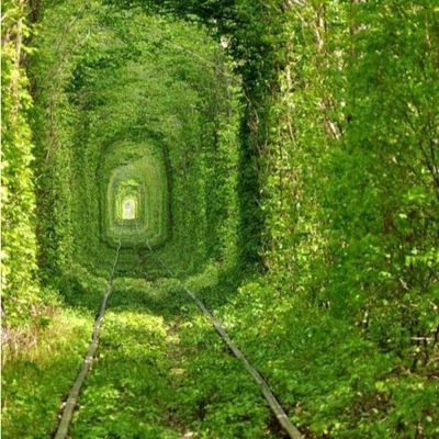 GercekRealty's profile picture. Yalnız adam(hümanist)-/TÜRKIYE