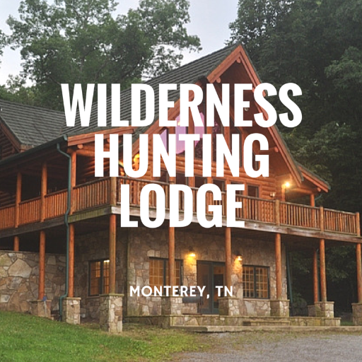 WildernessHL's profile picture. Nothing beats the pure adrenaline rush of going one on one with wildlife. We're here to give you experiences you won't forget.