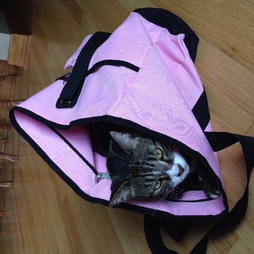 ajm253_uakron's profile picture. 