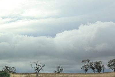 K8sonSk8s's profile picture. 