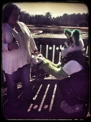 RexTimberWolf09's profile picture. im a grey sergal that like to meet new furs im a great sergal to get along with my Facebook.(Rextimberwolf) singel