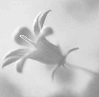 Lulu_n_glor's profile picture. 