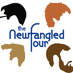 The Newfangled Four (@tnfquartet) Twitter profile photo The Newfangled Four (@tnfquartet) Twitter profile photo