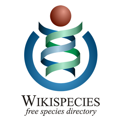 Official Twitter account of Wikispecies, a free @Wikimedia species directory that anyone can edit. Wikispecies is free, because life is in the public domain!