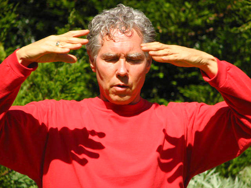 Founder and CEO - Health Action Synergies
Director - Institute of Integral Qigong and Tai Chi  (IIQTC).