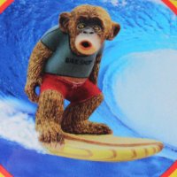 Surf Monkey Bikes(@SurfMonkeyBikes) 's Twitter Profileg