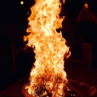 felellie's profile picture. 