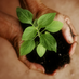 Gardening Talk (@gardeningtalk) Twitter profile photo Gardening Talk (@gardeningtalk) Twitter profile photo