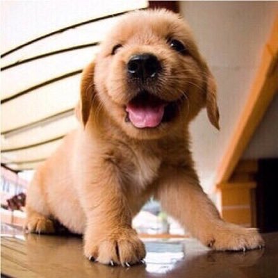 WX6OZ6WFNCnoKpx's profile picture. 