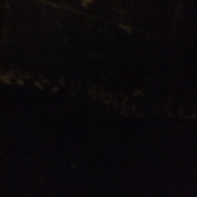 TheReformedDude's profile picture. .......