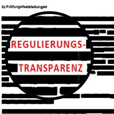 .@RegTransparenz = Beitrag zur Erhöhung d. Transparenz d. behördlichen Energie(netz)regulierung in D / Increasing transparency of Energy Regulation in GER