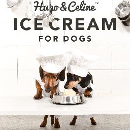 Hugo & Celine - premium organic 🇸🇪 tailored food for dogs! We're not that great at tweeting, but we are really good at barking (and better at FB and Insta)