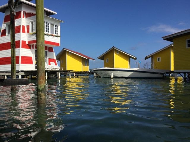 OsapaLondon's profile picture. Gotta Look Where You're Going.  Better See Where You've Been.