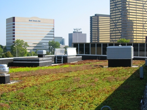 Environmental and energy issues related to sustainability, geothermal energy, green infrastructure, and green roofs