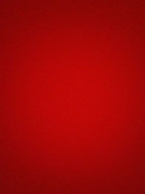 reivindicated's profile picture. 之口尺工后廾