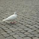 Anna Ekman - @annnaninanina - Twitter