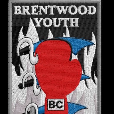 Official twitter of Brentwood Youth Boxing Club. Home of champions, past, present and future! You might be one of the clubs next CHAMPIONS!!