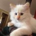 Michelle White (@missymootoo1) Twitter profile photo Michelle White (@missymootoo1) Twitter profile photo