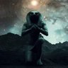 cire1133's profile picture. 