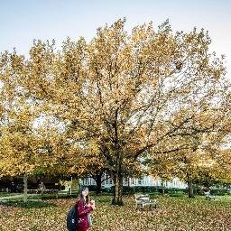 HelloitsLinh's profile picture. 