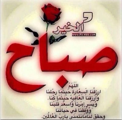 hdguydf's profile picture. 