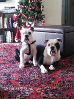 Fridaynitebob's profile picture. 