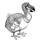 Alex Wallis - @Cordowr - Twitter