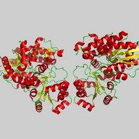 UCR Science News(@UCR_ScienceNews) 's Twitter Profileg